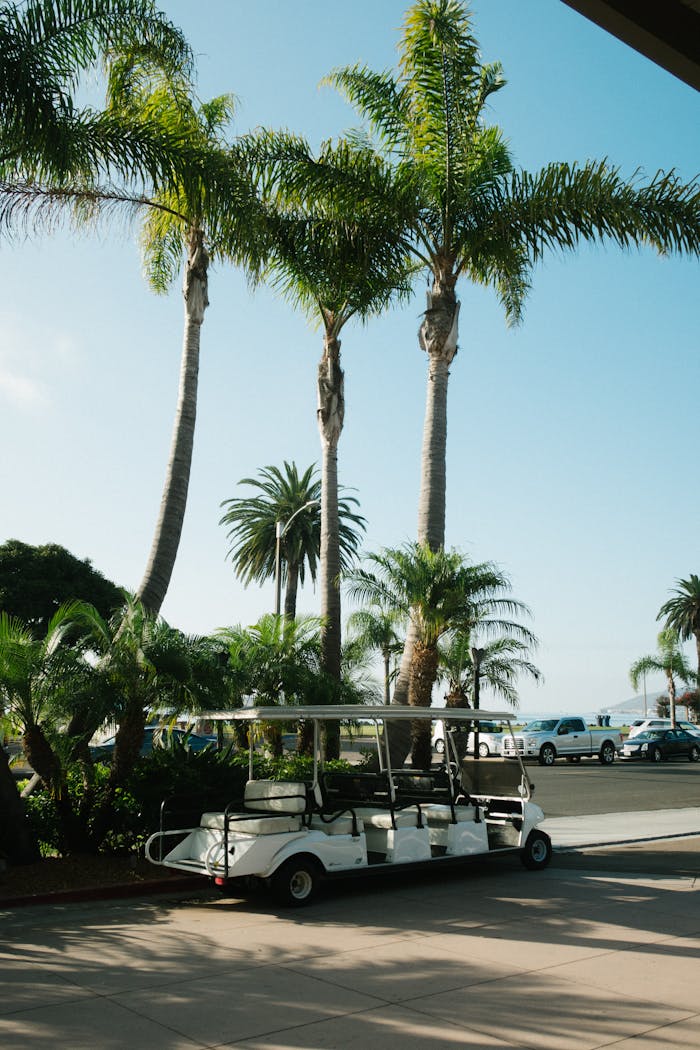 Golf cart parked under palm trees on a sunny day with clear skies.
