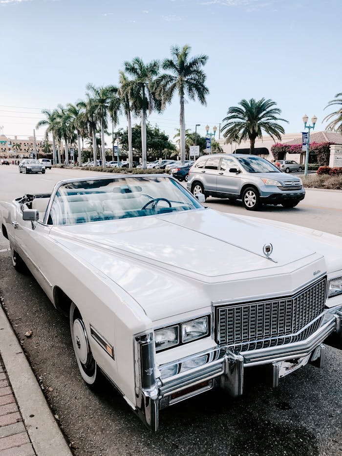 Classic white convertible parked under palm trees in a sunny street, capturing vintage automotive charm.